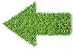 green-grass-ecological-arrow